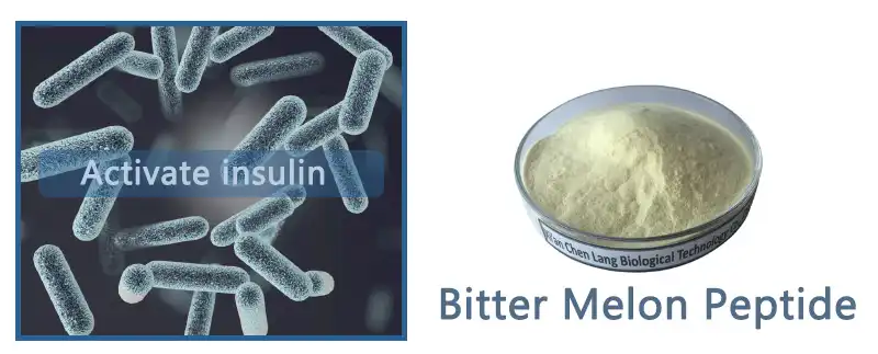 Bitter Melon Peptide Powder.jpg